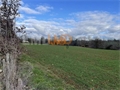 Image du bien UBI482103947